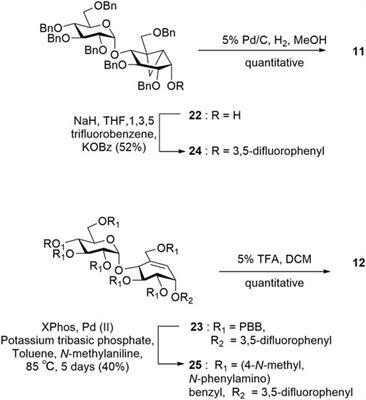 Synthesis of C7/C8-cyclitols and C7N-aminocyclitols from maltose and X-ray crystal structure of Streptomyces coelicolor GlgEI V279S in a complex with an amylostatin GXG–like derivative